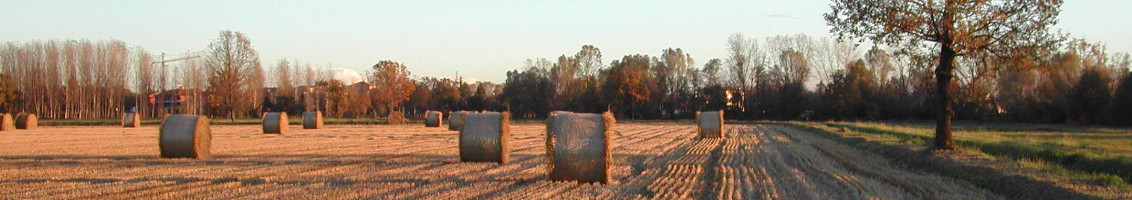 <div>Con Legge Regionale 13 dicembre 2022 n. 29 è stato istituito l'Ente di diritto pubblico denominato&nbsp;<strong>Ente Parco Agricolo Sud-Milano</strong> per la gestione dell'omonimo parco.</div>
<div>&nbsp;</div>
<div>A decorrere dall'insediamento degli organi del nuovo ente gestore, avvenuta il 23 settembre 2025, l'ente gestore del Parco Agricolo Sud Milano è subentrato alla Città metropolitana di Milano in tutti i rapporti giuridici attivi e passivi in essere relativi al parco.&nbsp;</div>
<div>&nbsp;</div>
<div>È dunque cessata la gestione del Parco Agricolo Sud Milano da parte della Città Metropolitana di Milano.</div>
<div>&nbsp;</div>
<div>Per tutte le pratiche relative al Parco occorre rivolgersi al nuovo Ente.</div>
<div>&nbsp;</div>
<div>Tutte le comunicazioni relative al Parco non dovranno pi essere indirizzate al protocollo della Città Metropolitana, bensì dovranno essere fatte pervenire all'indirizzo di posta elettronica certificata del nuovo ente&nbsp;<strong><a href="mailto:parcoagricolosudmi@pec.regione.lombardia.it">parcoagricolosudmi@pec.regione.lombardia.it</a></strong></div>
<div>&nbsp;</div>
<div>La Città metropolitana di Milano continua ad assicura il necessario supporto tecnico-amministrativo e organizzativo all'Ente Parco Agricolo Sud Milano al fine di garantiere la piena operatività del nuovo Ente.&nbsp;</div>