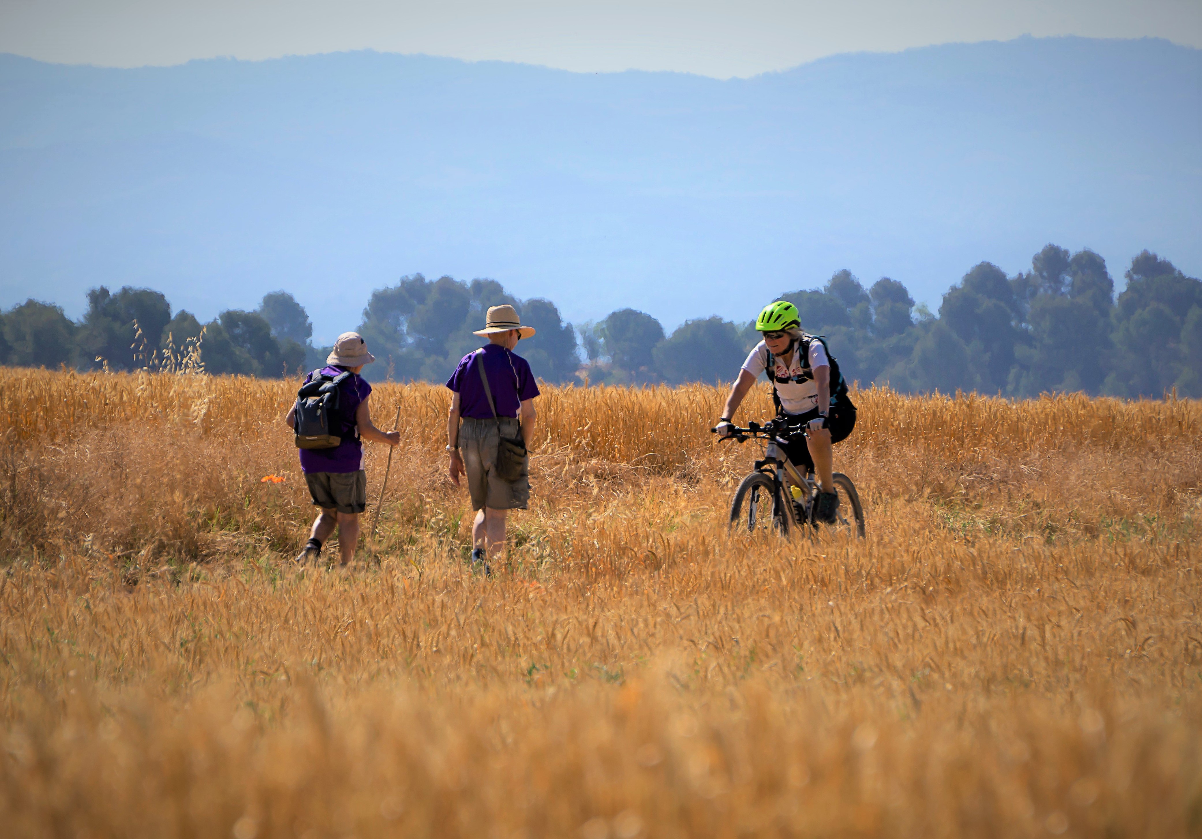 josepmonter-walkers-camminatori-ciclista-turismo-7274278