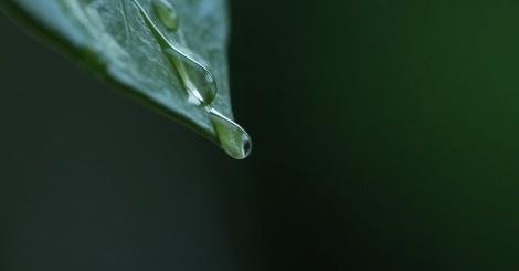 SPUGNA - la rivoluzione verde che rende il territorio più resiliente al cambiamento climatico