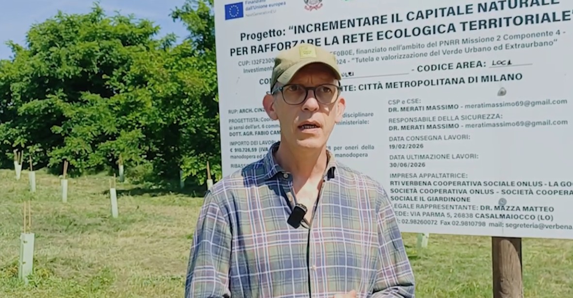 Forestazione urbana