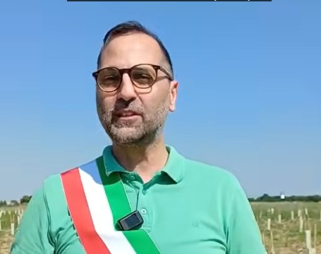 Forestazione urbana