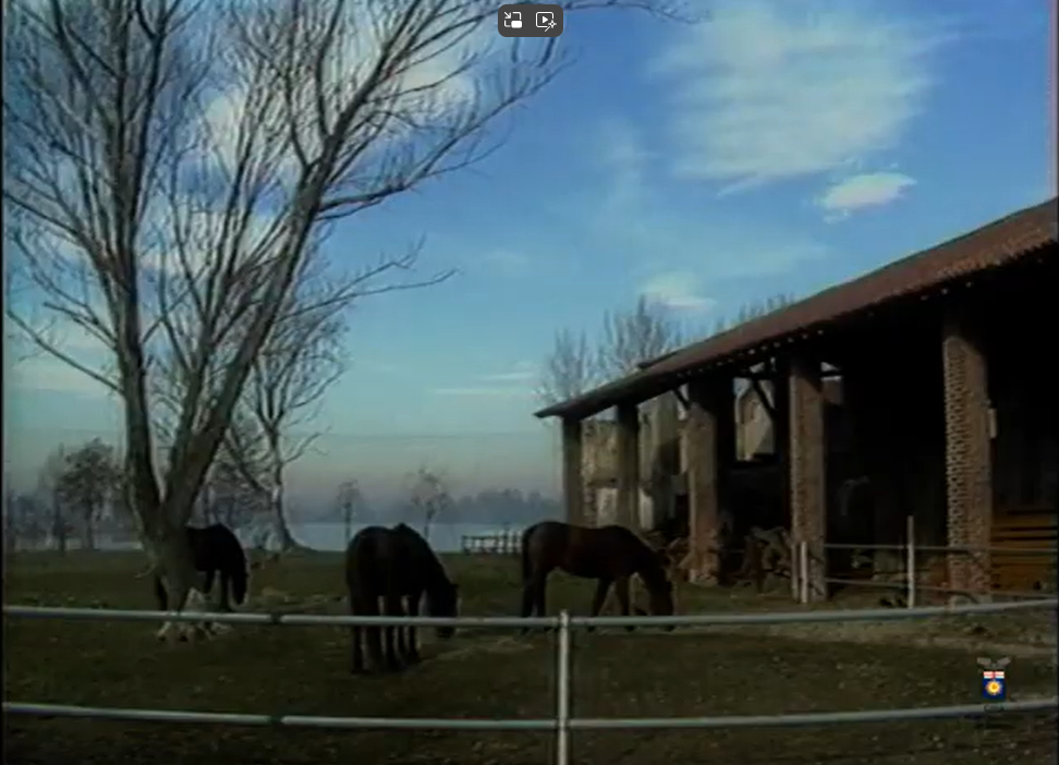 Il Parco agricolo Sud Milano