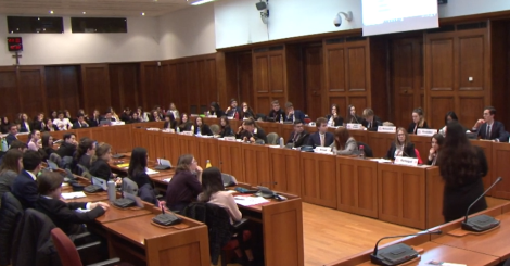 Simulazione Assemblea Generale dell'ONU